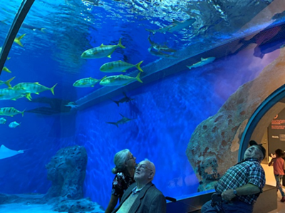 beboere ser på fisk i akvarie/Den blå planet
